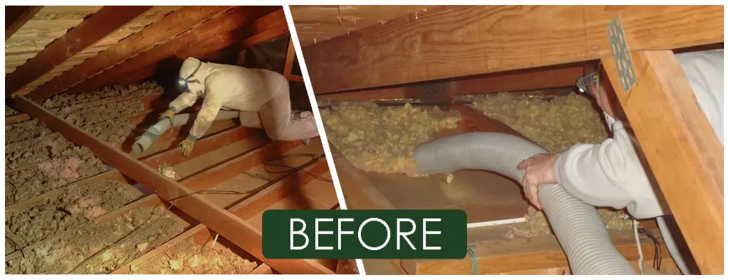 Attic Cleaning, Removal and Replacement Contractor. Everett, Mount Vernon, Bellingham, Washington